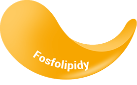 Fosfolipidy